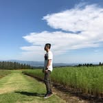Chris Cheang - @chris.cheang.31 - Instagram