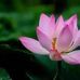 Chris Cheng - Facebook
