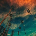 Chrischecker - @chrischecker65 - Instagram