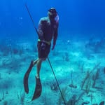 Chris Cheezem - @chrischeezem - Instagram