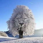 Chris Chenault - @chenault_chris - Instagram