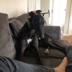 Chris Chenoweth - @mr__dingus - Instagram