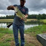 Chris Chesson - @c.chesson78 - Instagram