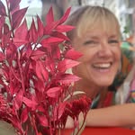 Christine Chiappetta - @sc.chiappetta - Instagram