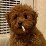 Chris Chien - @chris_chien.16 - Instagram