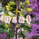 Chris Chien - @chris.chien.773 - Instagram