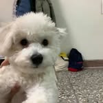Chris Chien - @chy_.714 - Instagram