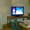 Aiglenoir - @christianblachier - TikTok