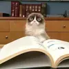 chrischim_ - @chrischim_ - TikTok