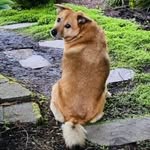 Chris "Chip" Fogleman - @fogleman.entertainment - Instagram
