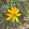 chris.pychips - @chris.pychips - TikTok