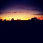 Chris Chitty - @chris_chitty - Instagram