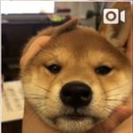 Chris Choe - @chrischoebro - Instagram