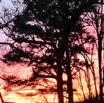 Krista Chrisenberry - Facebook