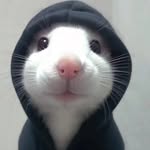 @chris.chung1110 - Instagram