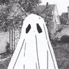 chris - @chris.ciccone - TikTok