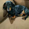 christian.ciccone - @christian.ciccone - TikTok