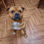 John Chris Claffey - @nofolkingchance - Instagram