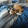 Chris Clawson - @chris.clawson - TikTok
