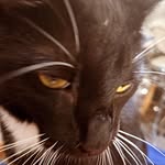 Chris Clawson - @chris.clawson97 - Instagram