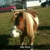 🦄christina_claypool - @christina_claypoo - TikTok