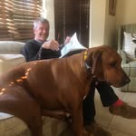 Chris Cleary - @chris_cleary85 - Instagram
