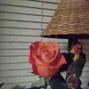 christinecluffwas - @christinecluffwas - TikTok