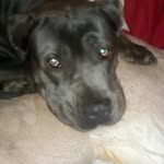 Chris Coady 12345 - @coady46 - Instagram