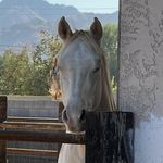 Chris Coatney - @proud.papa.66 - Instagram