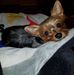 Chris Coberly Davis - Facebook
