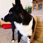 christian coberly - @christian.7588 - Instagram