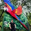 CHRIS-COBOS art - @chriscobosart - TikTok