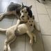 Christelle Cobo - Facebook