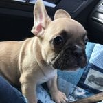 Chris Cockcroft - @tonto_travels - Instagram