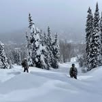 Chrisp Cockrum - @chrispcockrum - Instagram