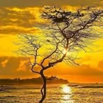 Chris Coetzee - Facebook