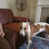 Chris Coffell - @chris.coffell - TikTok