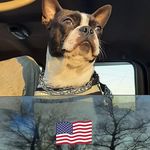 Chris Cofield - @cofieldchris - Instagram