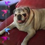 Christina Villacres Cofield - @chris_cofield13 - Instagram