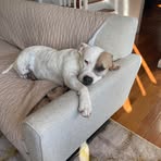 Chris Cofrancesco - Facebook