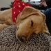 Chris Colbeck - Facebook