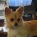 Chris Coldiron - Facebook