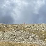 Chris Coldwell - @chcoldwell - Instagram