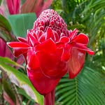Christina Colegate - @ccolegate - Instagram