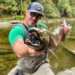 Chris Colella - @colella36 - Instagram