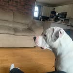Chris Coles - @chris.coles.779 - Instagram