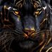 Chris Cullis - Facebook