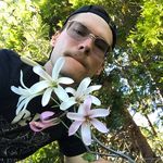 Chris Collier - @chrisophylla - Instagram