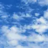 Christ Collorado - @christ.collorado - TikTok