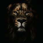 Mr_237° - @chris_collorado - Instagram